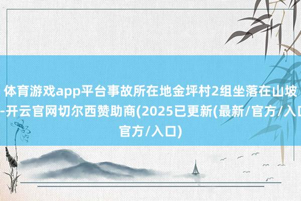 体育游戏app平台事故所在地金坪村2组坐落在山坡上-开云官网切尔西赞助商(2025已更新(最新/官方/入口)